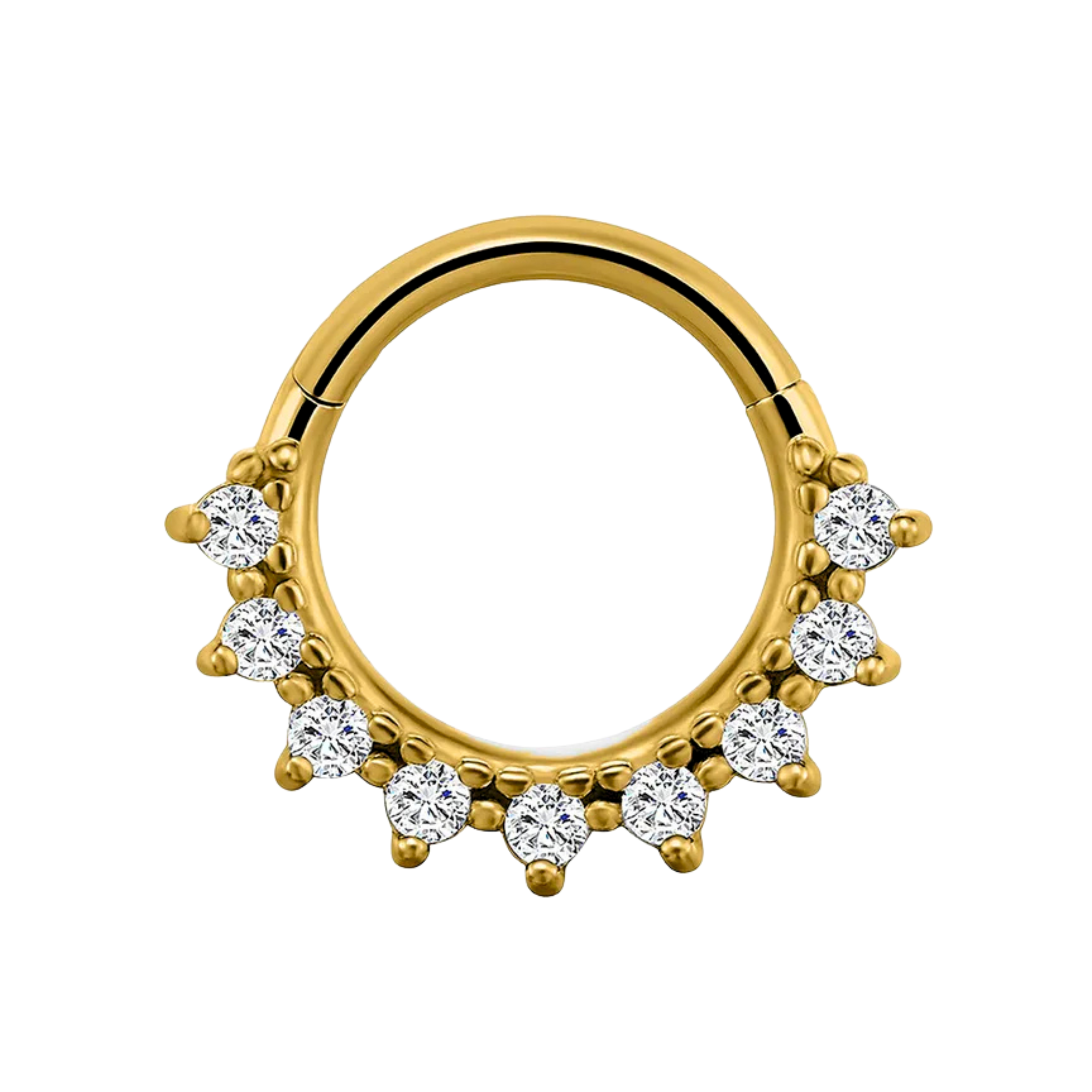 Regal Daith Hoop Stud - SINGLE