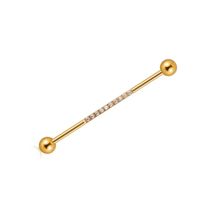 Visual Reference: Industrial Piercing