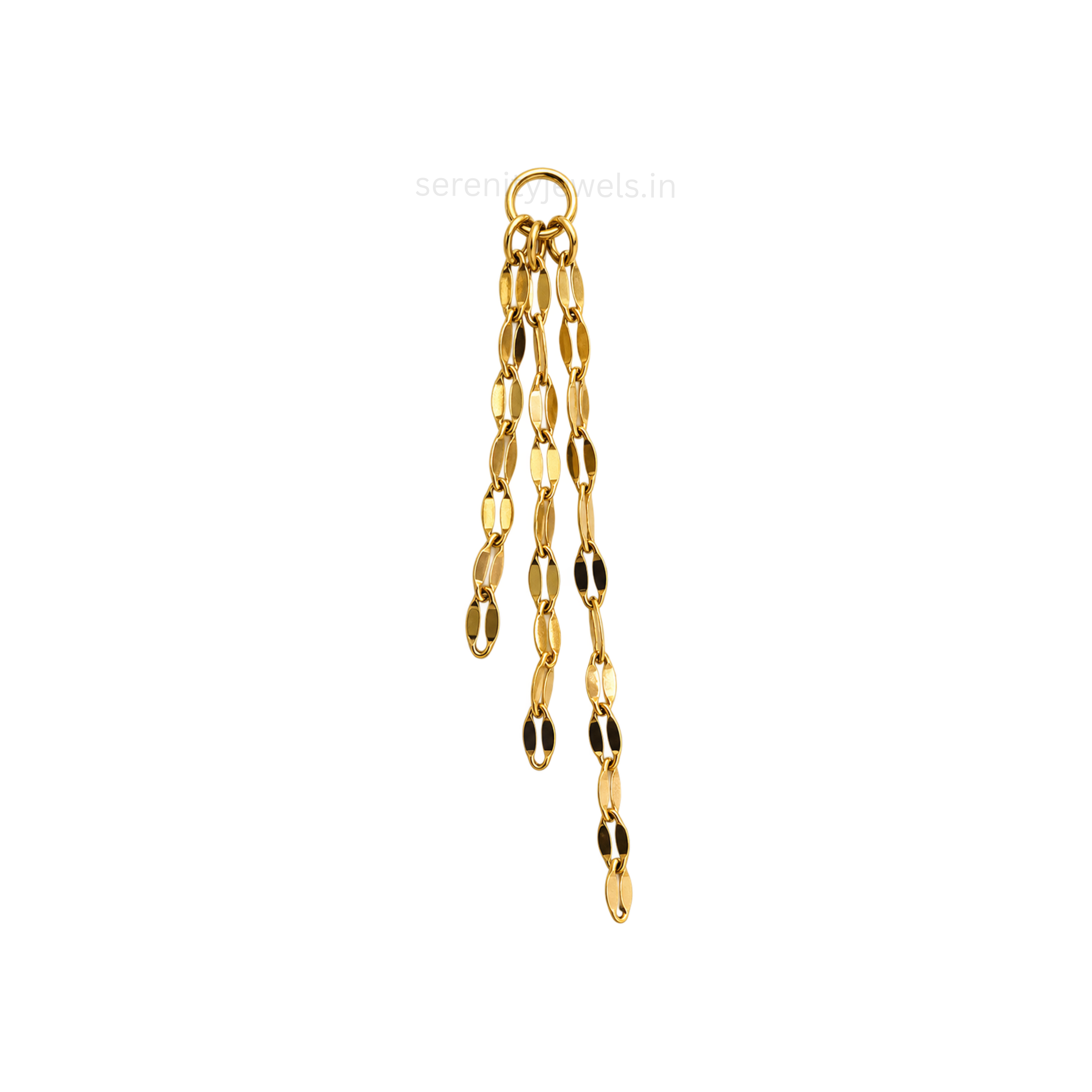 Ear Charms