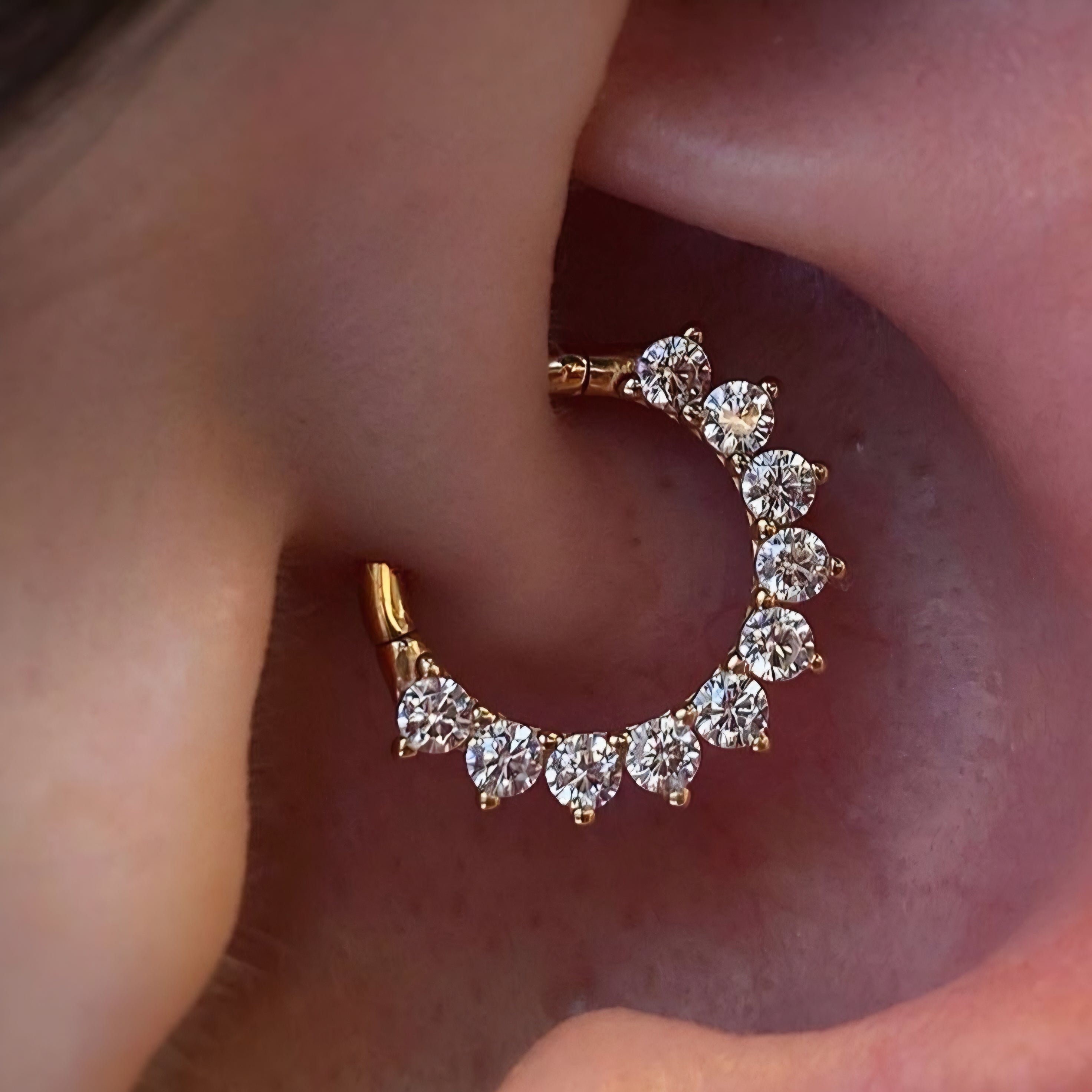 Regal Daith Hoop Stud - SINGLE